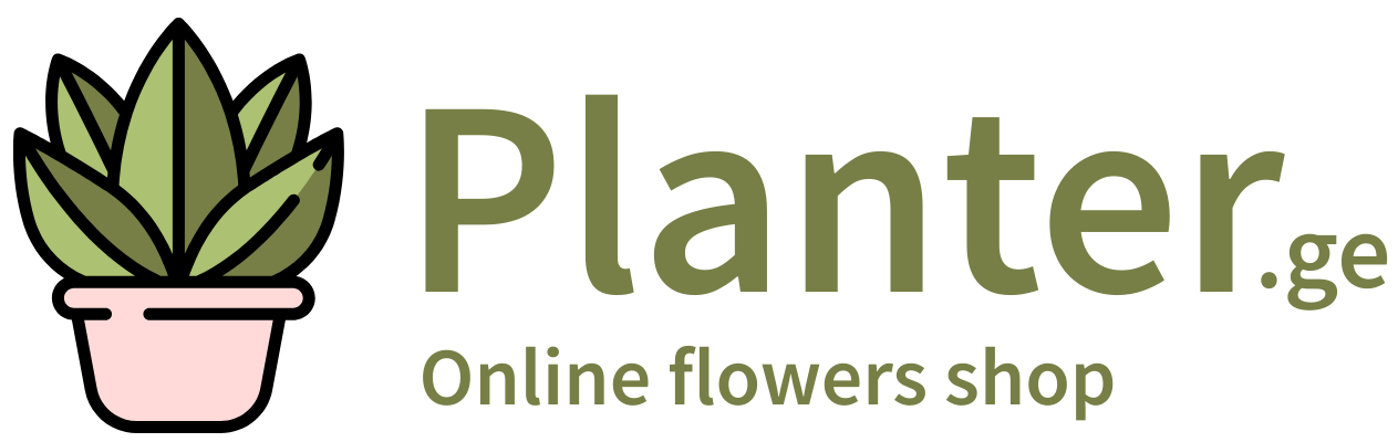 freepik-floral-simple-yellow-flower-shop-logo-202512161931260cUH